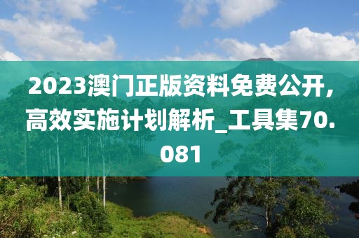 2023澳门正版资料免费公开,高效实施计划解析_工具集70.081