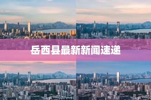 岳西县最新新闻速递