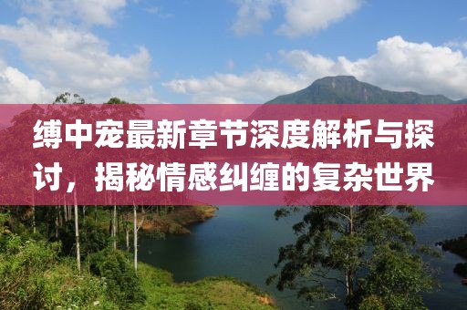 缚中宠最新章节深度解析与探讨，揭秘情感纠缠的复杂世界