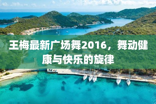 王梅最新广场舞2016，舞动健康与快乐的旋律