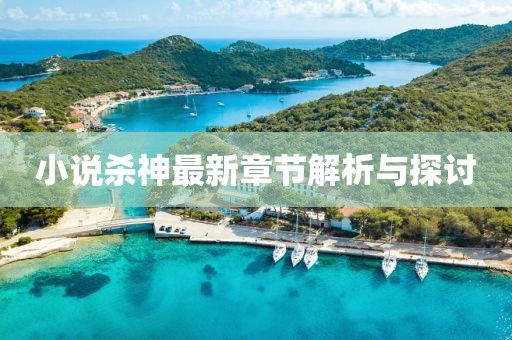 小说杀神最新章节解析与探讨