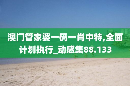 澳门管家婆一码一肖中特,全面计划执行_动感集88.133