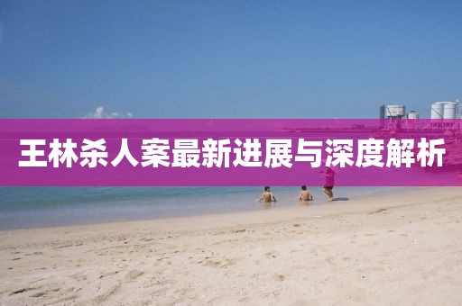 王林杀人案最新进展与深度解析