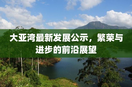 大亚湾最新发展公示，繁荣与进步的前沿展望