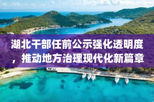 湖北干部任前公示强化透明度，推动地方治理现代化新篇章