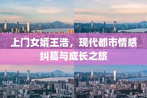 上门女婿王浩，现代都市情感纠葛与成长之旅