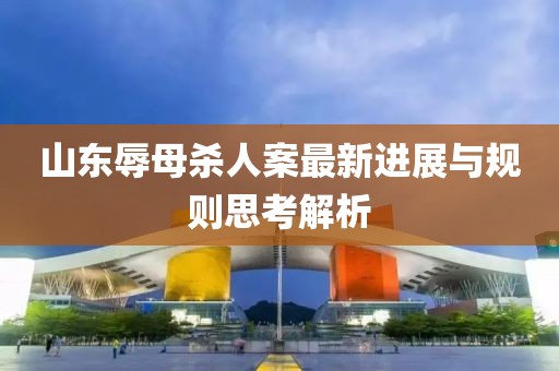 山东辱母杀人案最新进展与规则思考解析