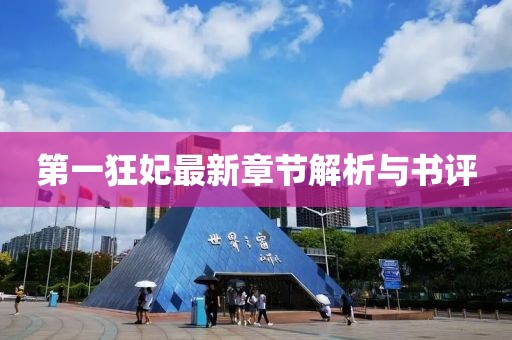 第一狂妃最新章节解析与书评