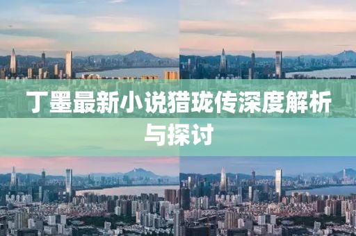 丁墨最新小说猎珑传深度解析与探讨