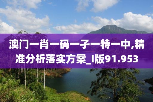 澳门一肖一码一孑一特一中,精准分析落实方案_I版91.953