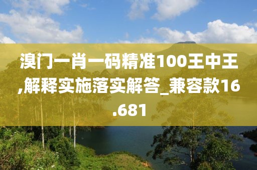 溴门一肖一码精准100王中王,解释实施落实解答_兼容款16.681