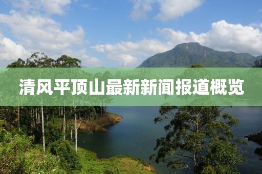 清风平顶山最新新闻报道概览