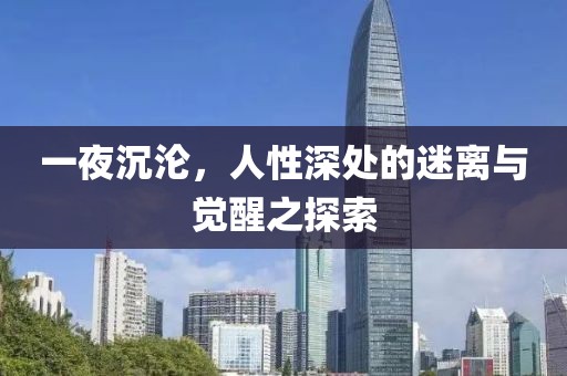 一夜沉沦，人性深处的迷离与觉醒之探索