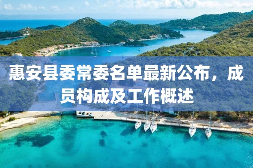 惠安县委常委名单最新公布，成员构成及工作概述