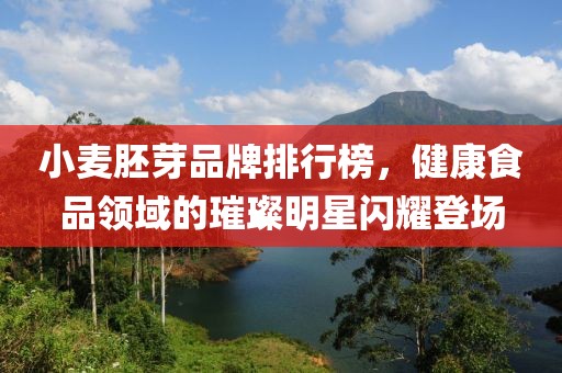 小麦胚芽品牌排行榜，健康食品领域的璀璨明星闪耀登场