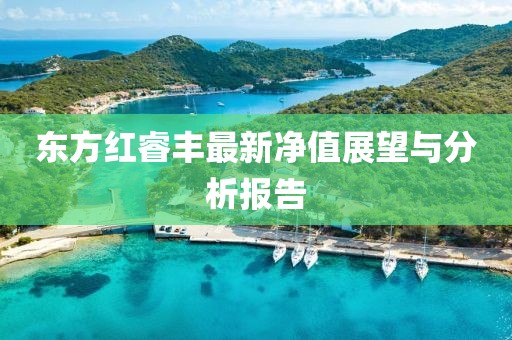东方红睿丰最新净值展望与分析报告