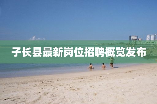 子长县最新岗位招聘概览发布
