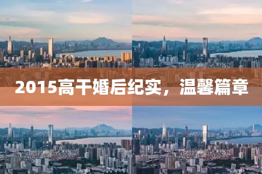 2015高干婚后纪实，温馨篇章