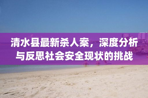 清水县最新杀人案，深度分析与反思社会安全现状的挑战