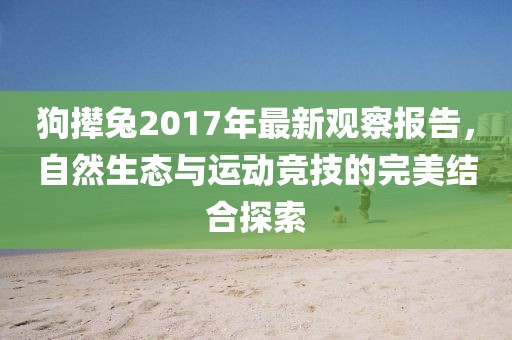 狗撵兔2017年最新观察报告，自然生态与运动竞技的完美结合探索