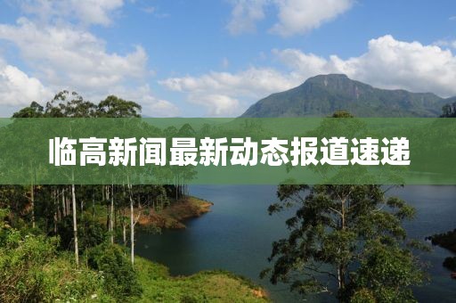 临高新闻最新动态报道速递