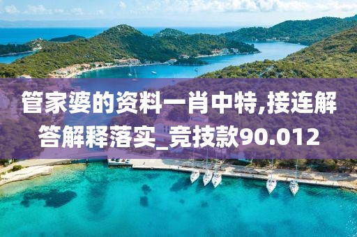 管家婆的资料一肖中特,接连解答解释落实_竞技款90.012
