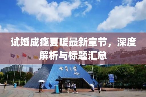 试婚成瘾夏暖最新章节，深度解析与标题汇总