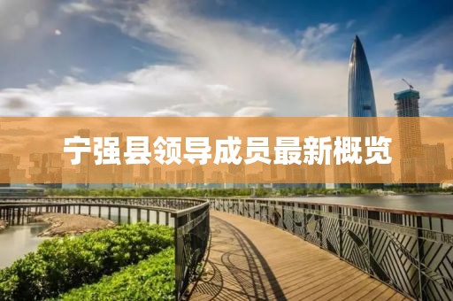 宁强县领导成员最新概览