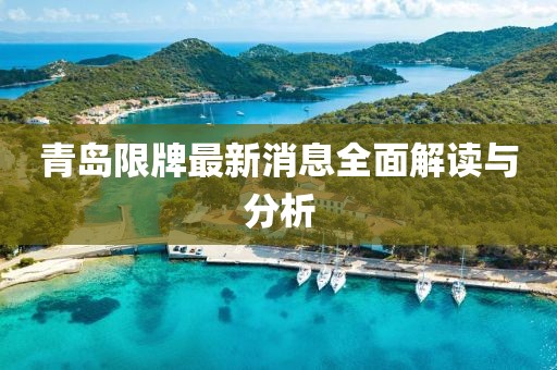 青岛限牌最新消息全面解读与分析