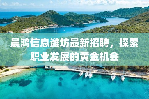 晨鸿信息潍坊最新招聘，探索职业发展的黄金机会