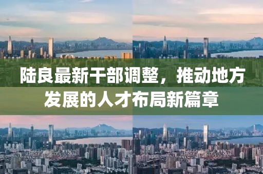 陆良最新干部调整，推动地方发展的人才布局新篇章