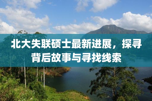 管家婆2023正版资料 第17页