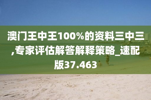 澳门王中王100%的资料三中三,专家评估解答解释策略_速配版37.463