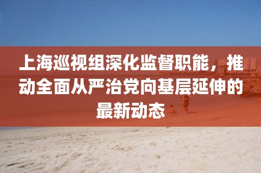 上海巡视组深化监督职能，推动全面从严治党向基层延伸的最新动态