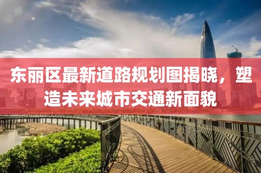 东丽区最新道路规划图揭晓，塑造未来城市交通新面貌