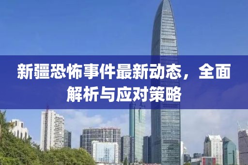 新疆恐怖事件最新动态，全面解析与应对策略