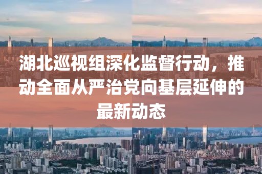 湖北巡视组深化监督行动，推动全面从严治党向基层延伸的最新动态