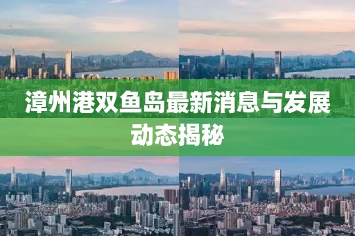 漳州港双鱼岛最新消息与发展动态揭秘