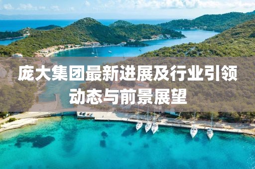 庞大集团最新进展及行业引领动态与前景展望