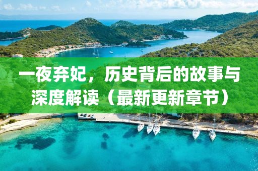 一夜弃妃，历史背后的故事与深度解读（最新更新章节）