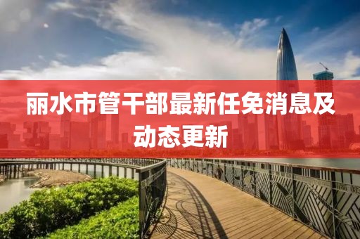 丽水市管干部最新任免消息及动态更新
