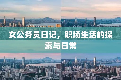 女公务员日记，职场生活的探索与日常