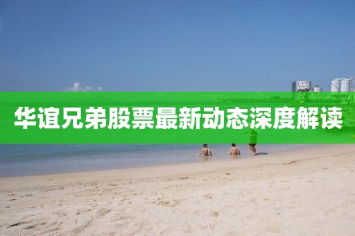 华谊兄弟股票最新动态深度解读