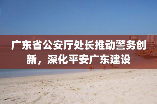 广东省公安厅处长推动警务创新，深化平安广东建设