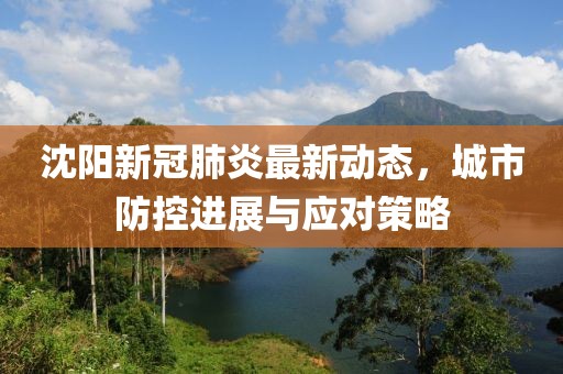 沈阳新冠肺炎最新动态，城市防控进展与应对策略