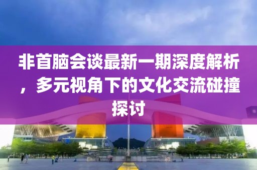 非首脑会谈最新一期深度解析，多元视角下的文化交流碰撞探讨
