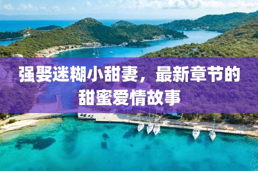 强娶迷糊小甜妻，最新章节的甜蜜爱情故事