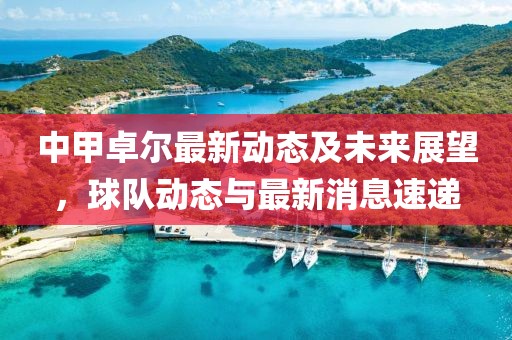 中甲卓尔最新动态及未来展望，球队动态与最新消息速递