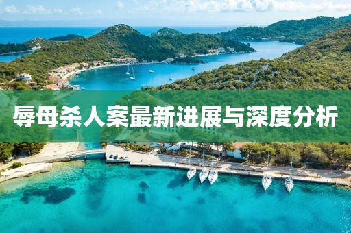 辱母杀人案最新进展与深度分析