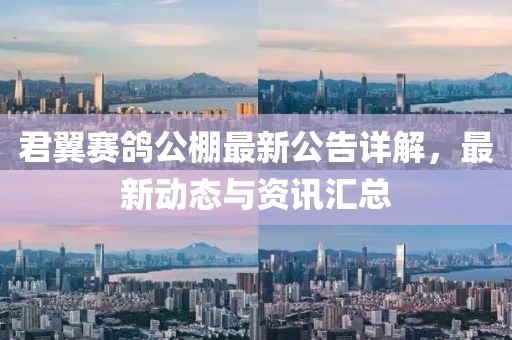 君翼赛鸽公棚最新公告详解，最新动态与资讯汇总